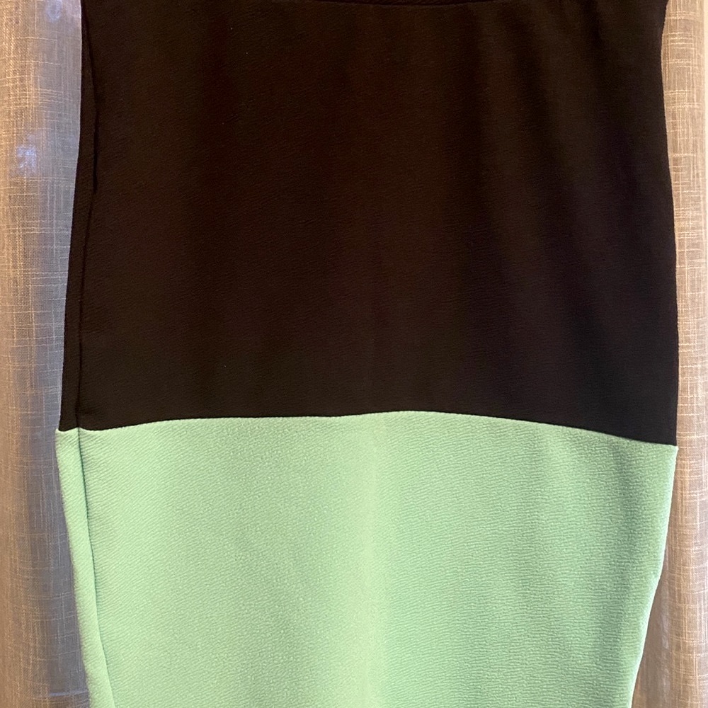 Woman’s Pencil Skirt Black & Mint Green Lularoe Size XS fits more like a Small.